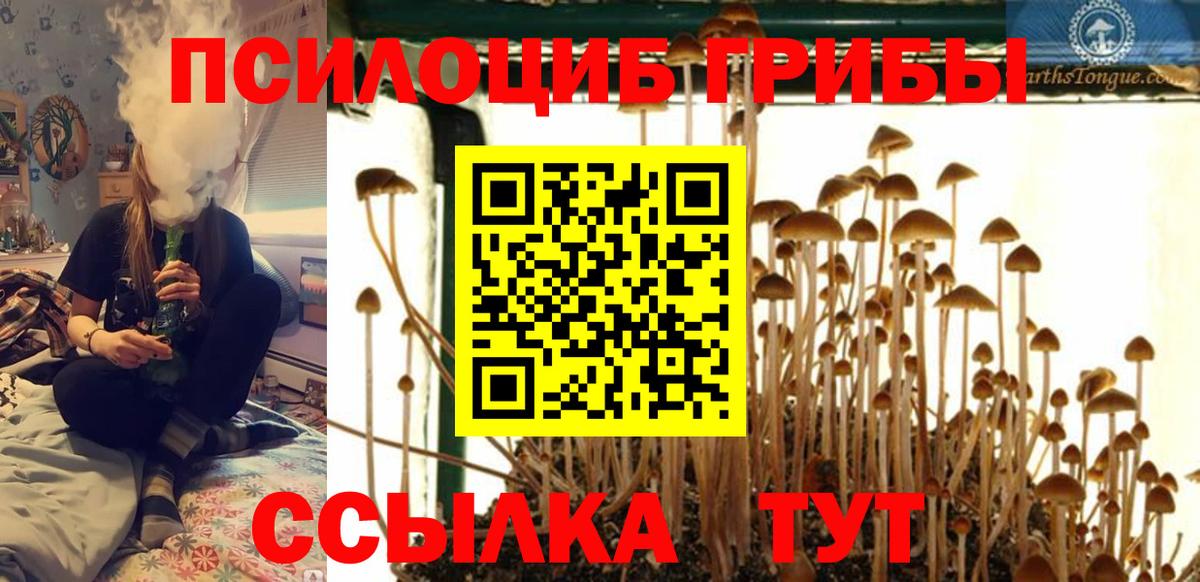 Канаш  Галлюциногенные грибы Cubensis  Вход с VPN 